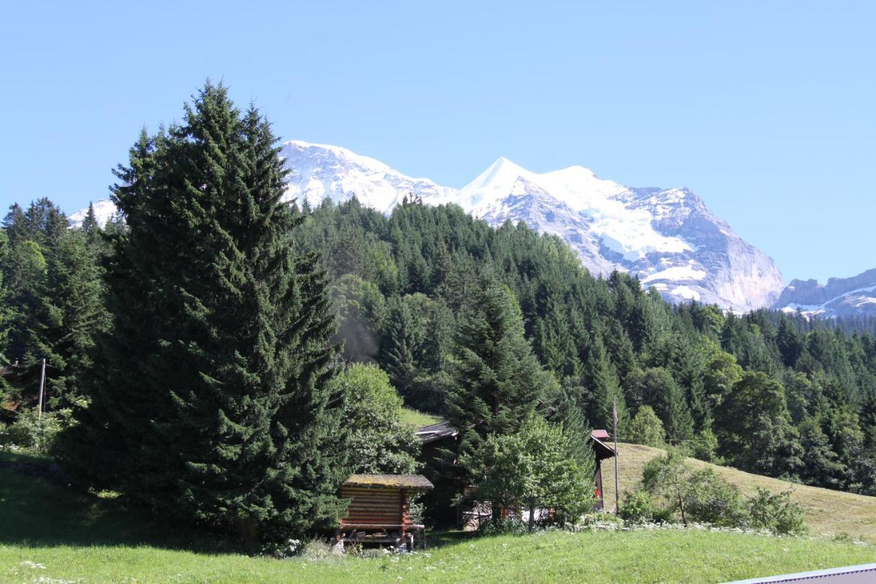Staubbachbaenkli Apartamento Wengen Exterior foto