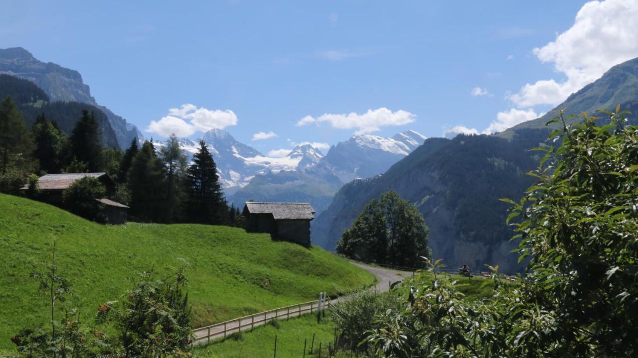 Staubbachbaenkli Apartamento Wengen Exterior foto
