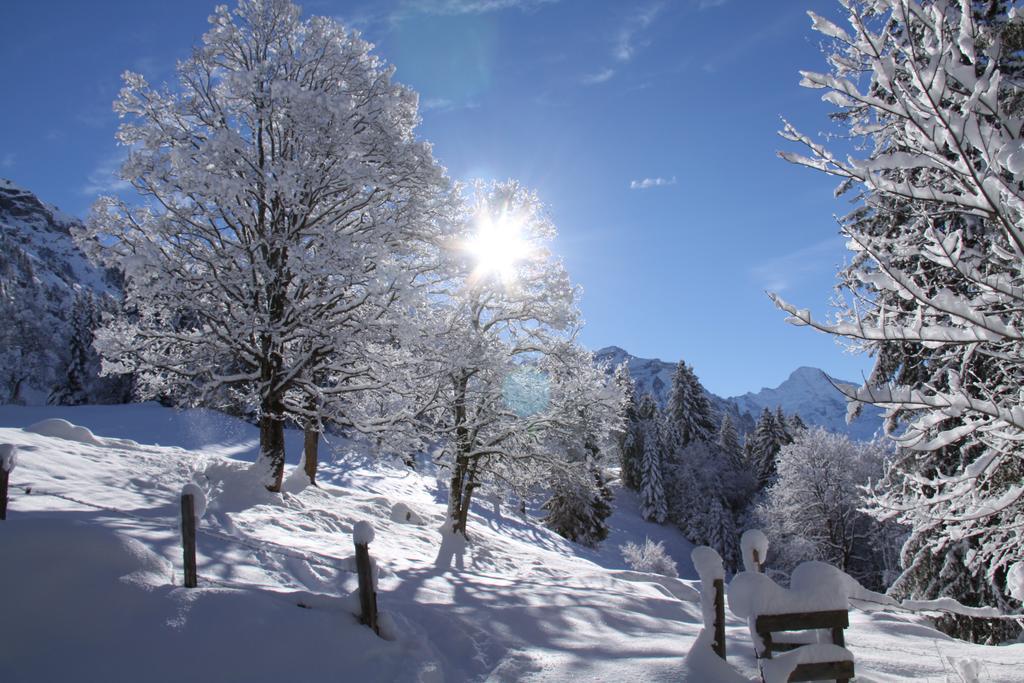 Staubbachbaenkli Apartamento Wengen Exterior foto